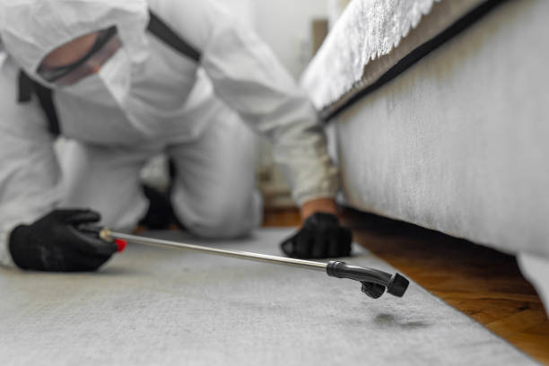 Professional Bed Bug Control technician working in Meagher County County, MT